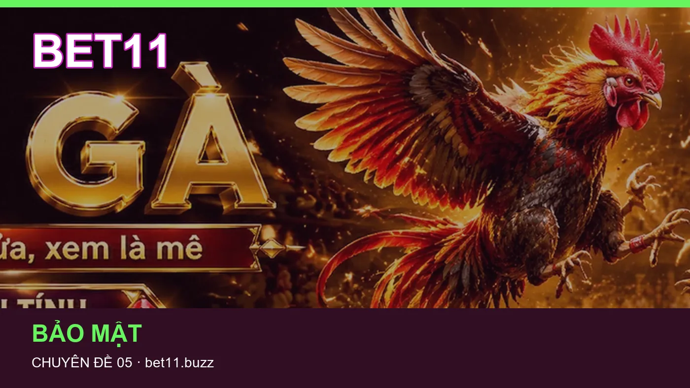 Hỏi đáp về Bảo mật: quy trình tự kiểm tra trên BET11